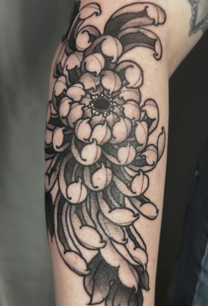 Chrysanthemum_black_and_gray