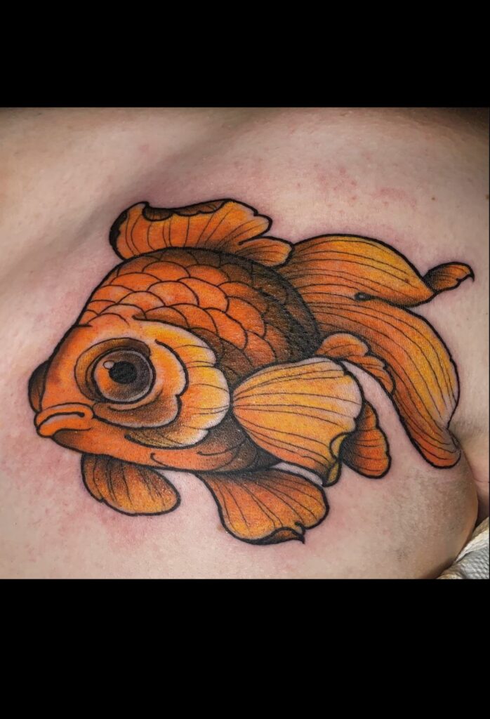 goldfish